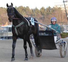 Orecchietti 160217-7